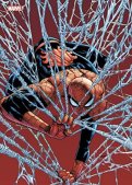 Marvel Comics (v1) T.16 - tirage limité Marvel Comics (v1) T.16 - tirage limité