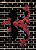 Marvel Comics (v1) T.20 - variant cover Marvel Comics (v1) T.20 - variant cover